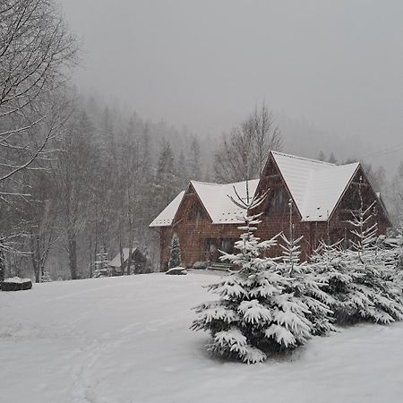 Зарінок Карпат Villa Mykulychyn Dış mekan fotoğraf