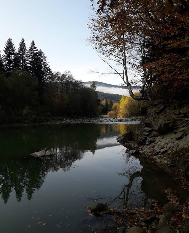 Зарінок Карпат Villa Mykulychyn Dış mekan fotoğraf
