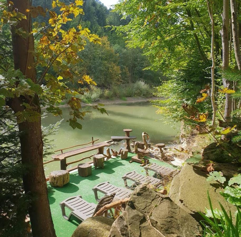 Зарінок Карпат Villa Mykulychyn Dış mekan fotoğraf