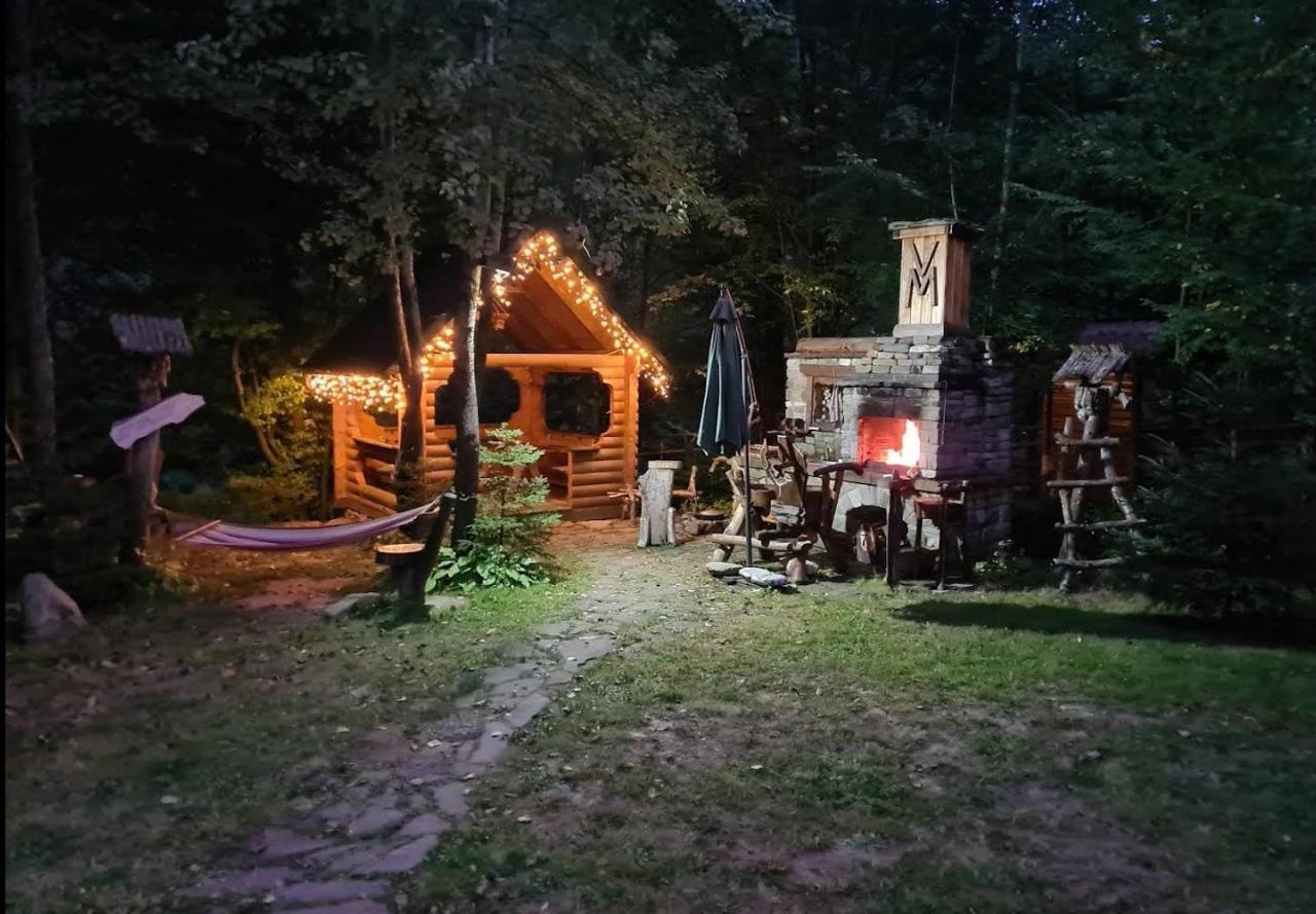 Зарінок Карпат Villa Mykulychyn Dış mekan fotoğraf