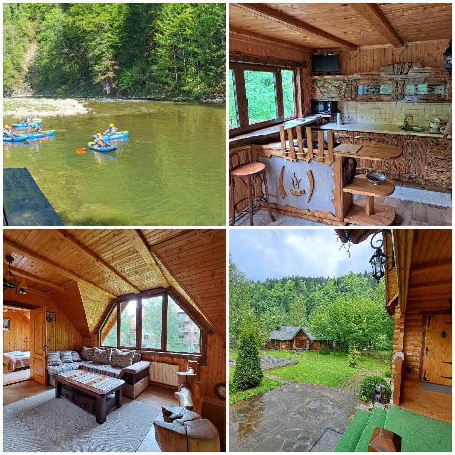 Зарінок Карпат Villa Mykulychyn Dış mekan fotoğraf