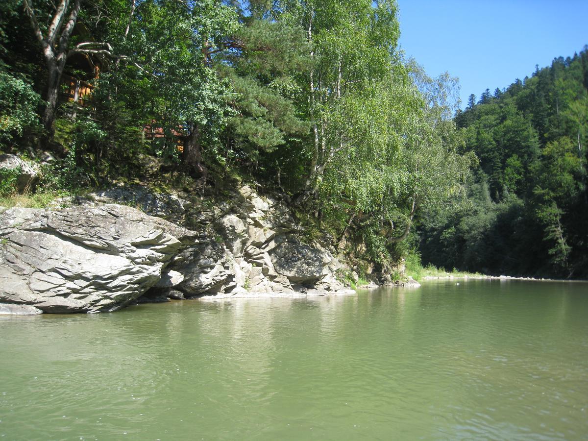 Зарінок Карпат Villa Mykulychyn Dış mekan fotoğraf