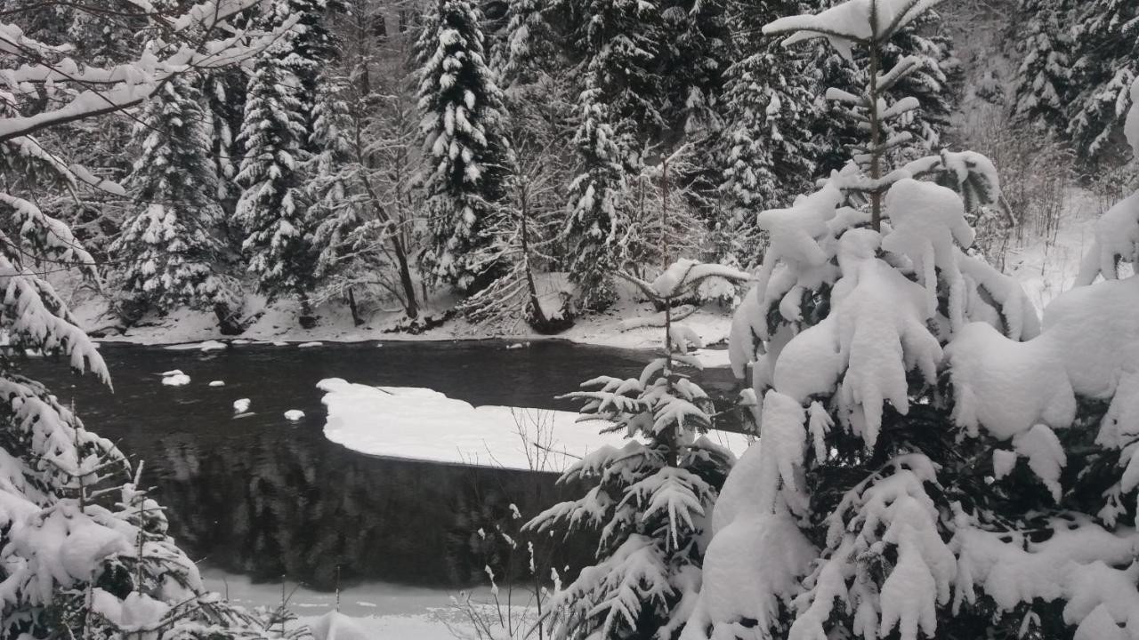 Зарінок Карпат Villa Mykulychyn Dış mekan fotoğraf